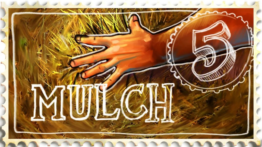 Siloé Oliveira: 6 Reasons to Use Mulch – Suburban Homestead EP5 6 Reasons to Use Mulch - Suburban Homestead EP5