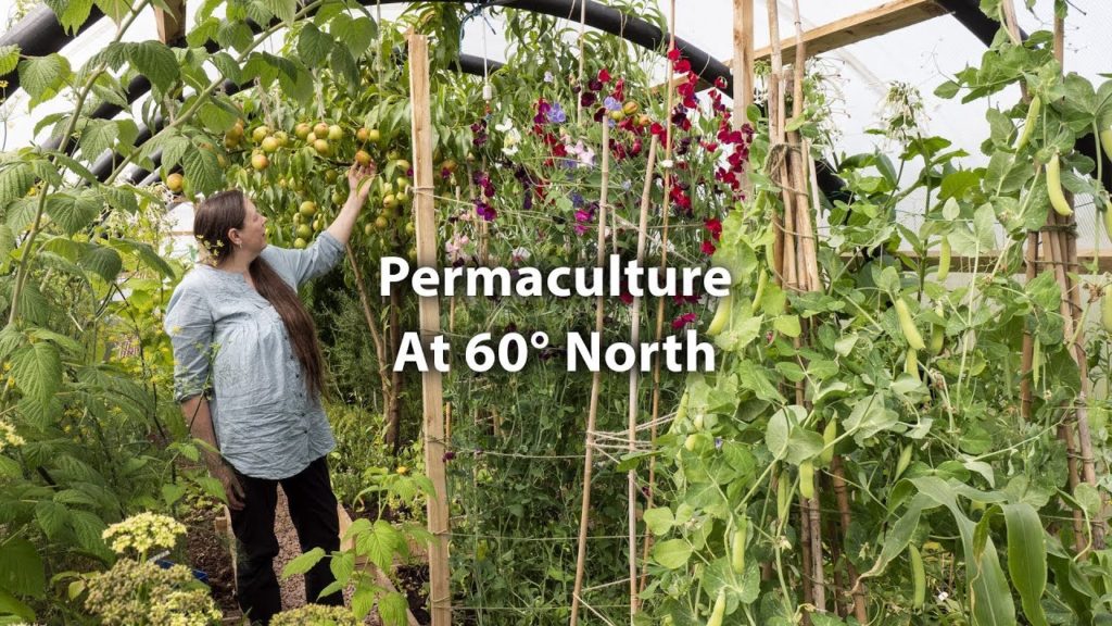 Huw Richards: Incredible Abundance in an Extreme Climate (Undercover Permaculture) Incredible Abundance in an Extreme Climate (Undercover Permaculture)