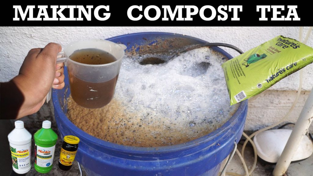 How To Make Compost Tea - Organic Fertilizer For Your Plants