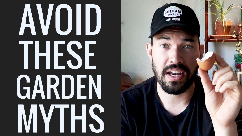 Epic Gardening: 4 Garden Myths To Avoid Right Now 4 Garden Myths To Avoid Right Now
