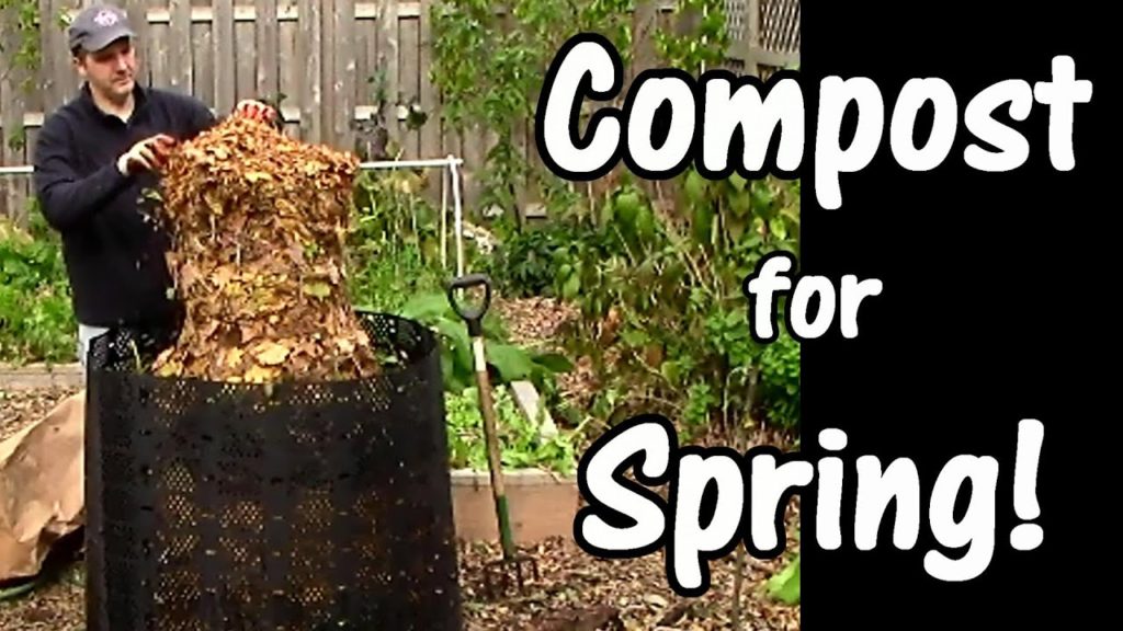 One Yard Revolution: Compost for Spring: Leaves, Used Coffee Grounds, & Garden Waste (Leaf Compost) Compost for Spring: Leaves, Used Coffee Grounds, & Garden Waste (Leaf Compost)