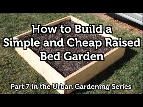 Alberta Urban Garden: How to Build a Wood Raised Bed Garden for Beginners Simple and Easy EZ How to Build a Wood Raised Bed Garden for Beginners Simple and Easy EZ