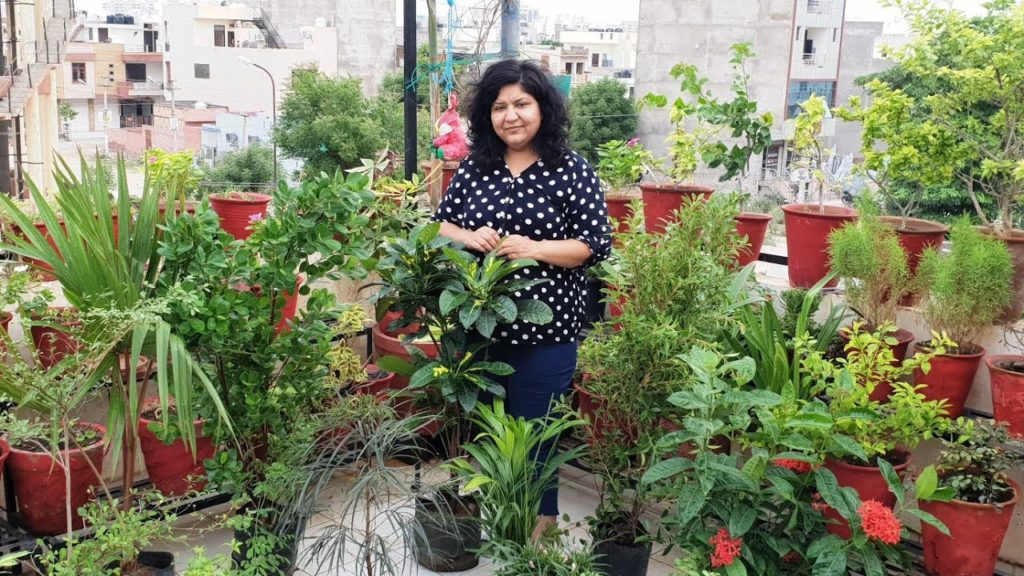 My Garden Shopping - Plants and Pots || Monsoon Garden Shopping Haul || Fun Gardening