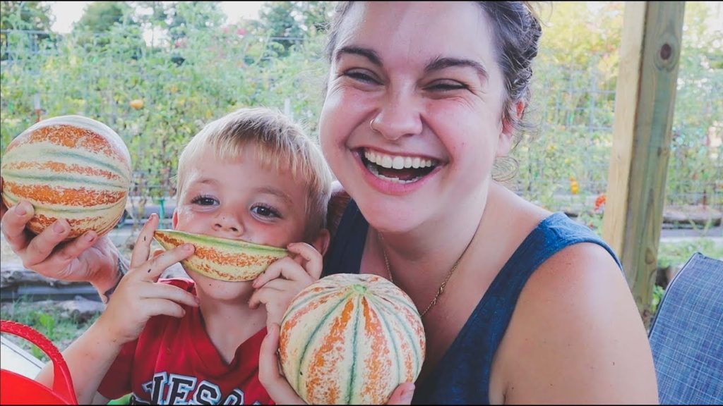 Roots and Refuge Farm: My Favorite Little Melon ( The Kajari Melon ) | VLOG | Roots and Refuge My Favorite Little Melon ( The Kajari Melon ) | VLOG | Roots and Refuge