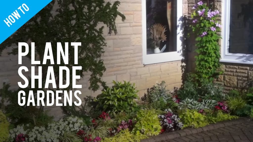 A Guide To Shade Gardening & Shade Garden Plants