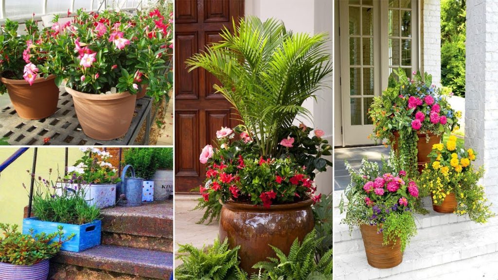 100+ Best Container gardening ideas Part 2 | Garden ideas 100+ Best Container gardening ideas Part 2 | Garden ideas