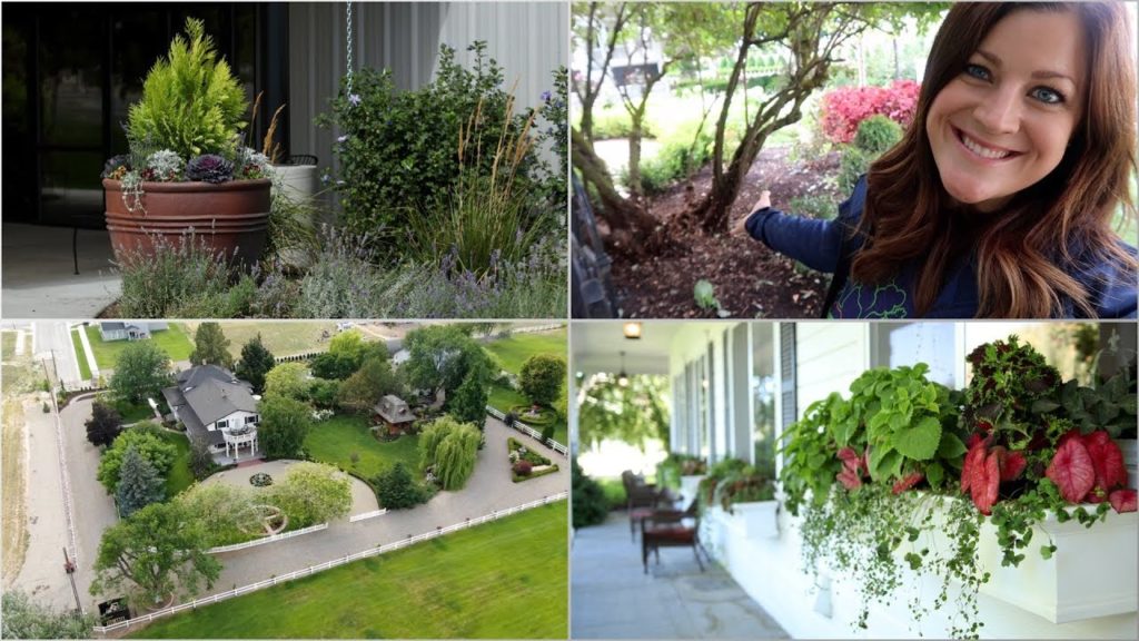 Garden Answer Highlights: Garden Answer Weekly Recap #1 (September 15th – 21st) Garden Answer Weekly Recap #1 (September 15th - 21st)