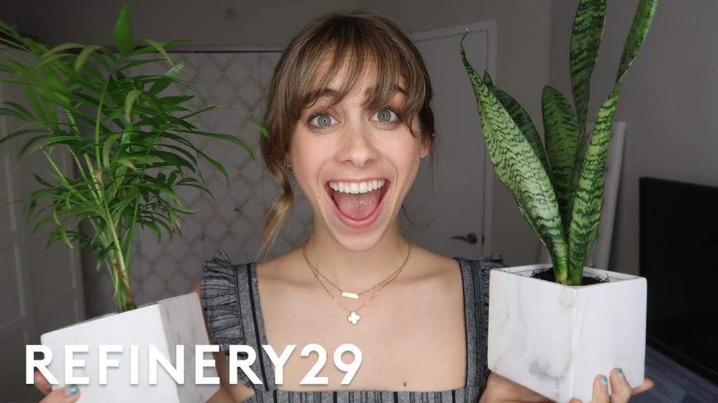 5 Days Of Indoor Gardening | Try Living With Lucie | Refinery29 5 Days Of Indoor Gardening | Try Living With Lucie | Refinery29