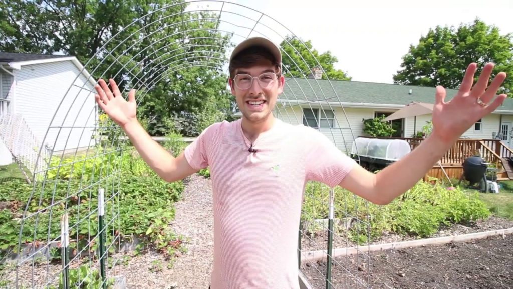 We Built a $25 Cattle Panel Arbor Trellis That Will Last a Lifetime