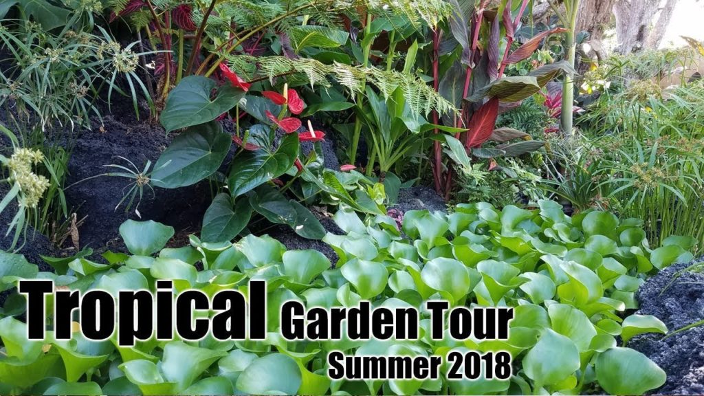 August 2018 Tropical Garden Tour