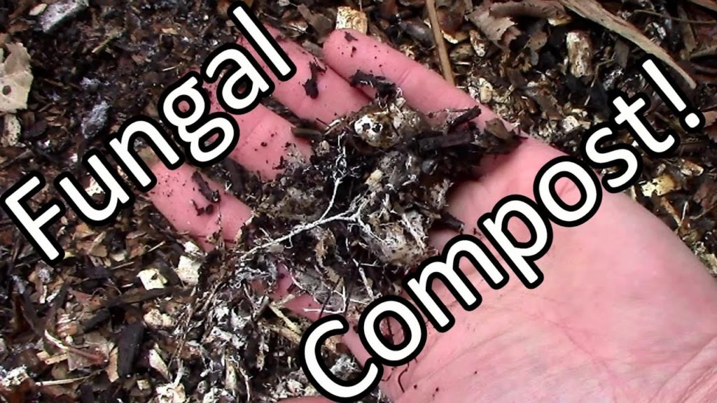 One Yard Revolution: Free Fungally Dominated Compost & Mulch Free Fungally Dominated Compost & Mulch