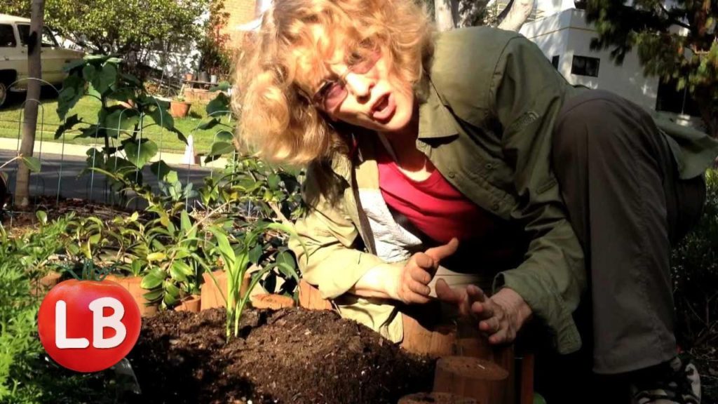 Growing Corn for the First Time | Late Bloomer | Episode 20