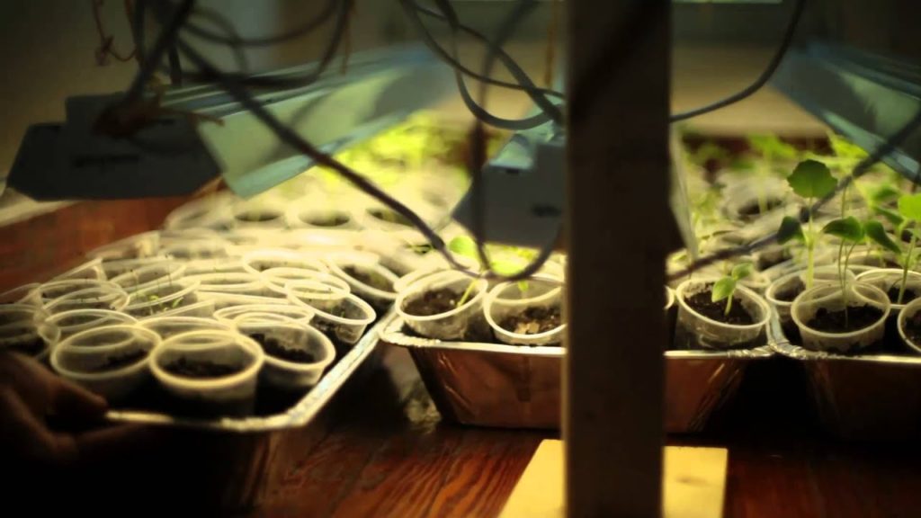 How to grow a Garden - Suburban Homestead EP1