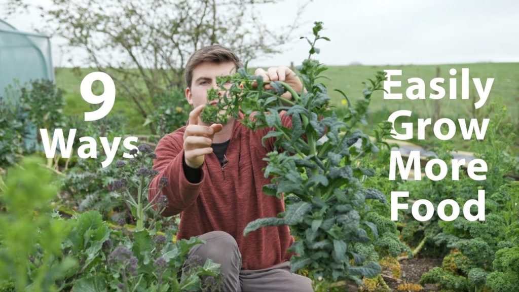 9 Quick Ideas to Grow More Food this Year