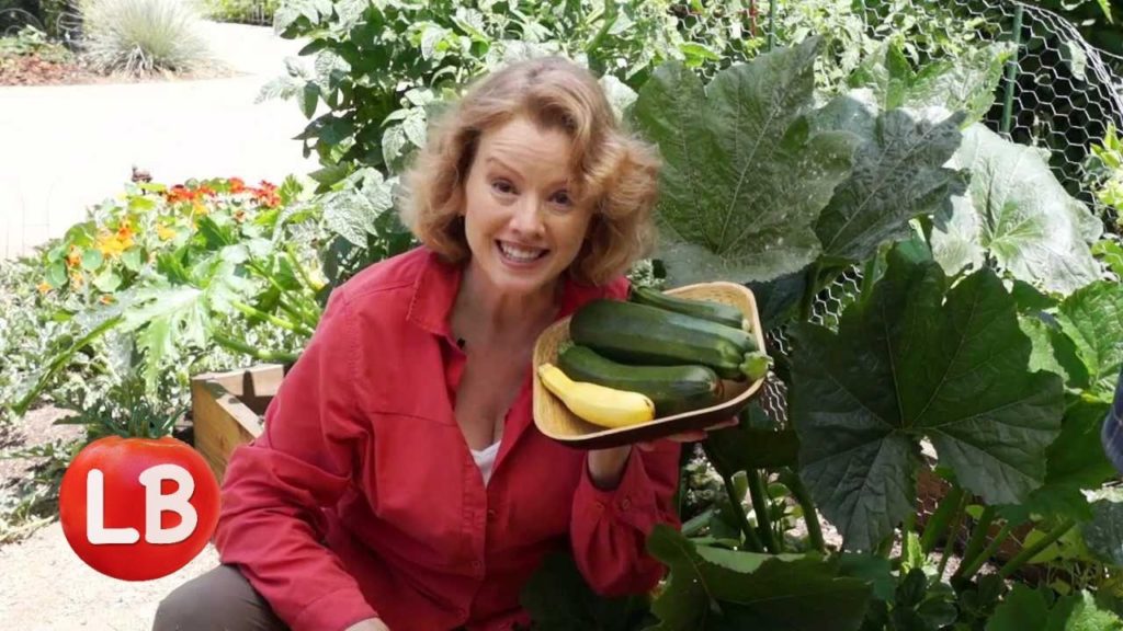 Growing Zucchini | Late Bloomer | Episode 17