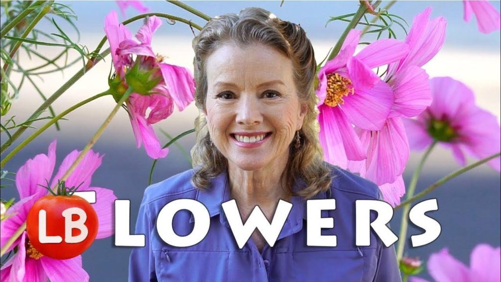 Growing Flowers for Beneficial Insects | Kaye's Vlog