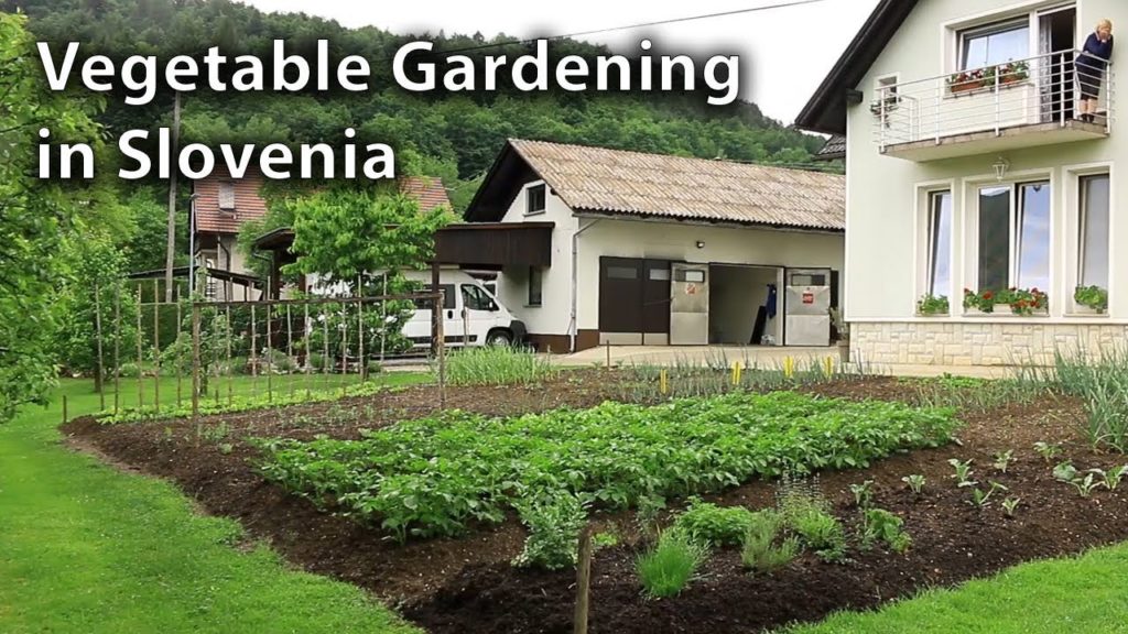 Huw Richards: The Attitude of Vegetable Gardening in Slovenia is an Inspiration The Attitude of Vegetable Gardening in Slovenia is an Inspiration