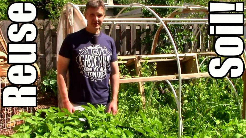 One Yard Revolution: How to Revitalize & Reuse Old Potting Soil from Containers How to Revitalize & Reuse Old Potting Soil from Containers