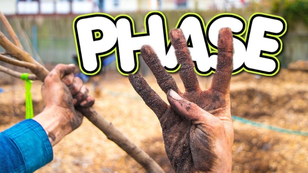 James Prigioni: How To Start A FOOD FOREST FROM SCRATCH!!! Phase 4 How To Start A FOOD FOREST FROM SCRATCH!!! Phase 4