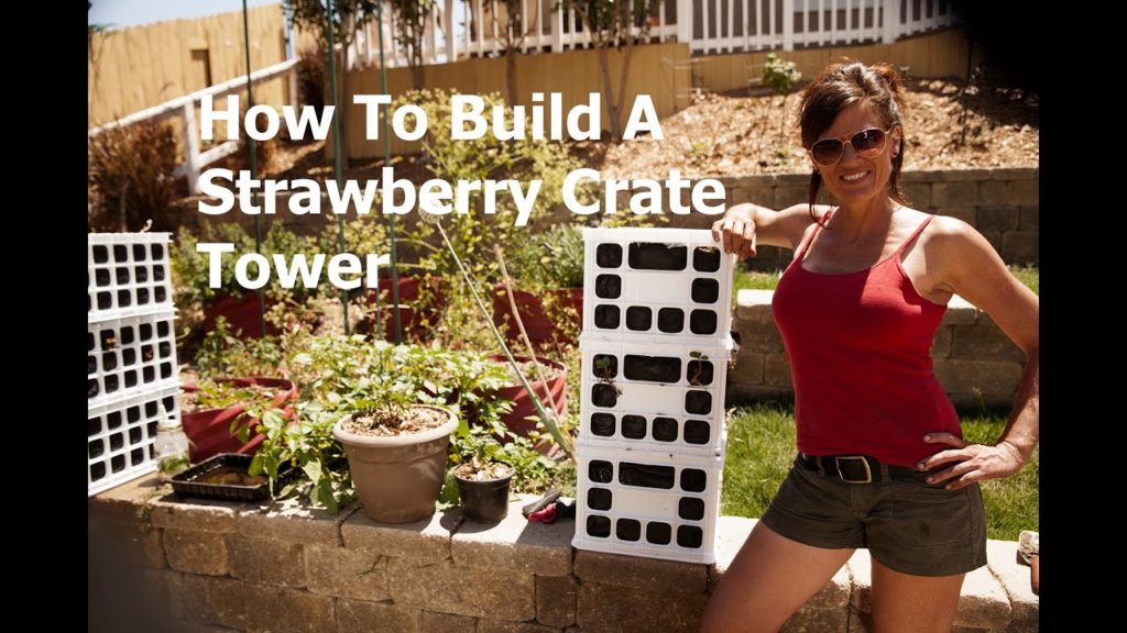 CaliKim: How to Build a Strawberry Crate Tower How to Build a Strawberry Crate Tower