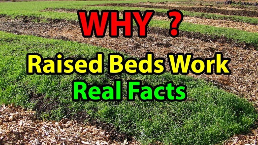 WHY Raised Bed Gardening Works Faster Building beds for Organic Vegetable for beginners 101 WHY Raised Bed Gardening Works Faster Building beds for Organic Vegetable for beginners 101