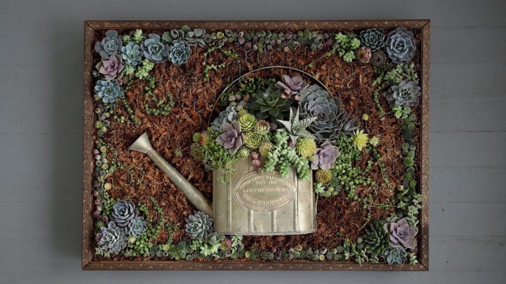Succulent Portrait (Fast Version) 🌿
