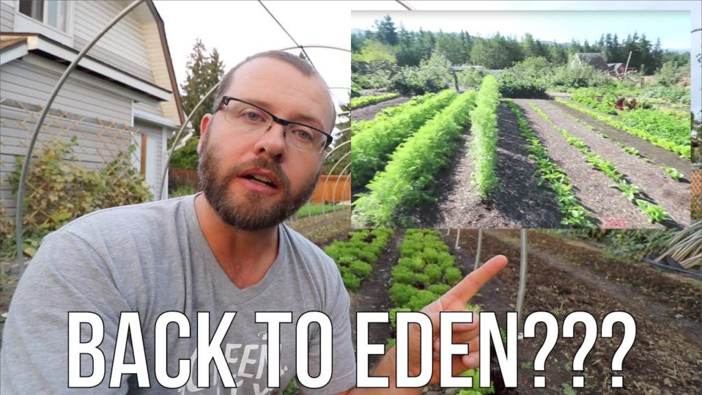 Why I don't do BACK TO EDEN Gardening