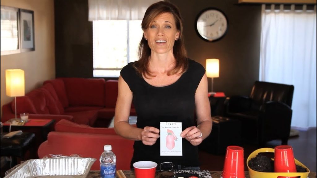 How to Plant Tomato Seeds Indoors