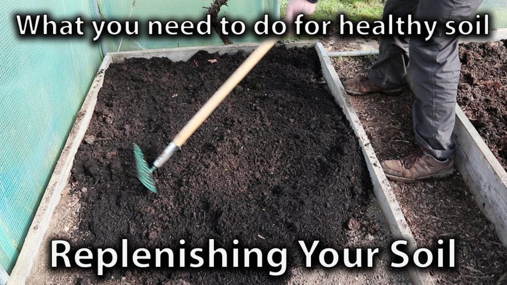 Replenishing Your Garden Soil for Vegetable Abundance