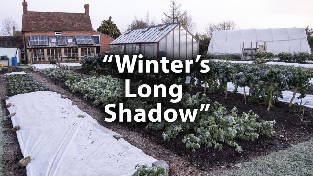 Huw Richards: Charles Dowding on The Hungry Gap: Annual and Perennial Crop Possibilities Charles Dowding on The Hungry Gap: Annual and Perennial Crop Possibilities