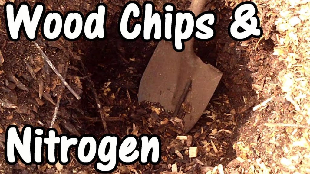 One Yard Revolution: Does Wood Chip Mulch Tie Up Nitrogen & Increase Nitrogen Fertilization Requirements? Does Wood Chip Mulch Tie Up Nitrogen & Increase Nitrogen Fertilization Requirements?