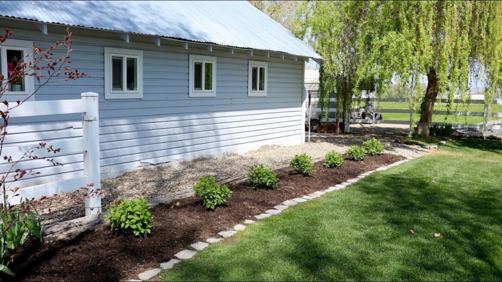 Garden Answer: Planting Fire Light Hydrangeas! 🌿🙌// Garden Answer Planting Fire Light Hydrangeas! 🌿🙌// Garden Answer
