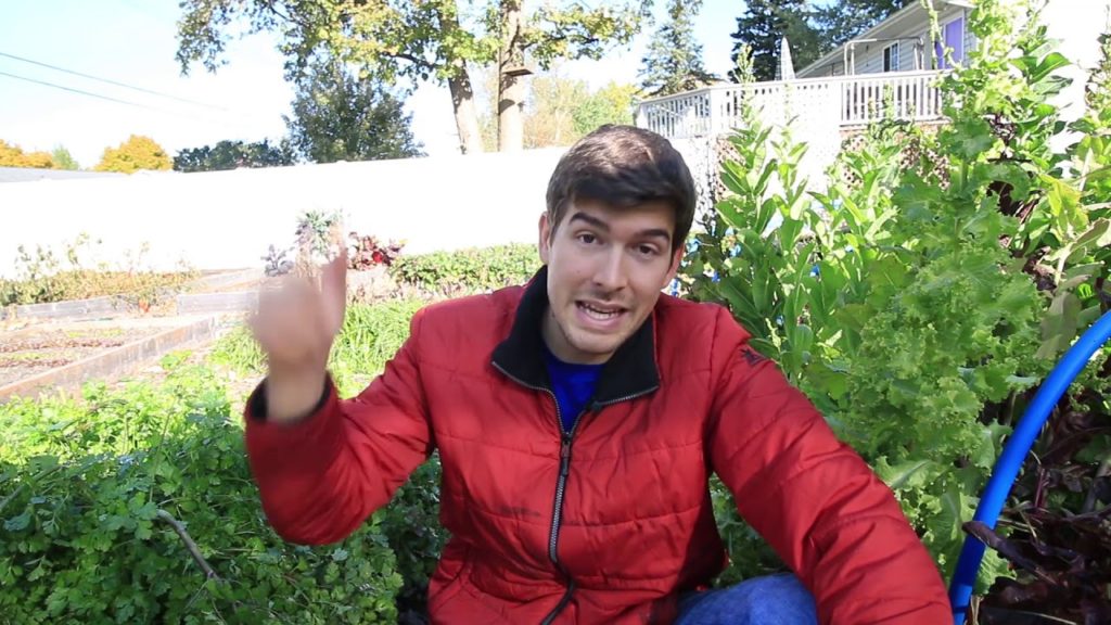 MIgardener: Top 10 Cold Hardy Fall & Winter Crops to Grow In Your Garden + Reasons Why Top 10 Cold Hardy Fall & Winter Crops to Grow In Your Garden + Reasons Why