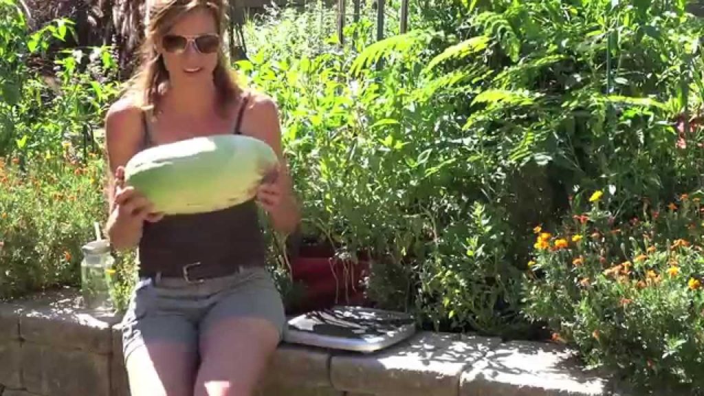 CaliKim: Garden Cleanout – Watermelon Surprise! Garden Cleanout - Watermelon Surprise!