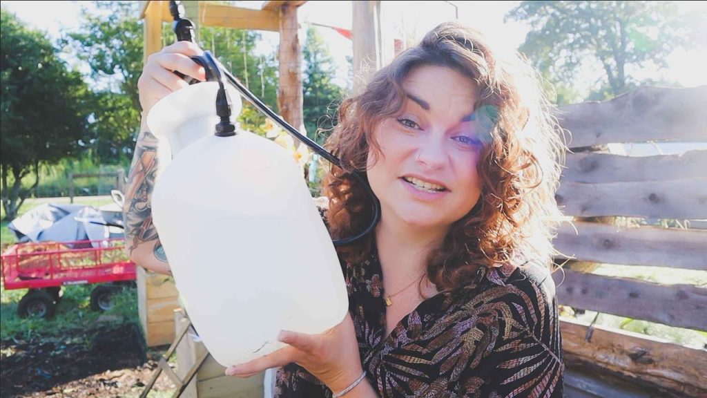 Anti-Fungal Peroxide Garden Spray | Helps Leaf Spot and Blight | Roots and Refuge