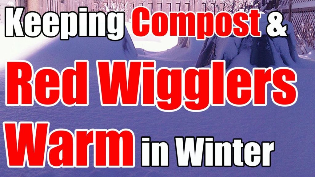 One Yard Revolution: 2 Min. Tip: How We Keep Compost & Red Wigglers Warm All Winter 2 Min. Tip: How We Keep Compost & Red Wigglers Warm All Winter