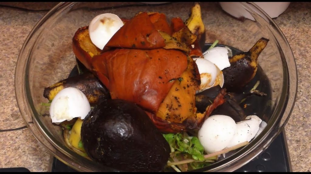 One Yard Revolution: Feeding A Growing Red Wiggler Population Feeding A Growing Red Wiggler Population