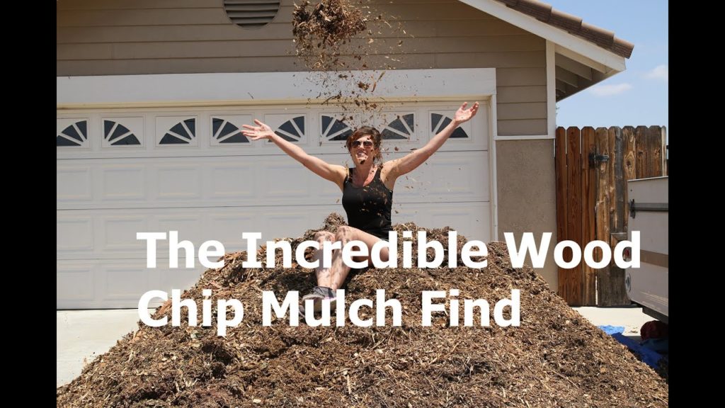 Why Using Wood Chip Mulch is Great for Your Garden