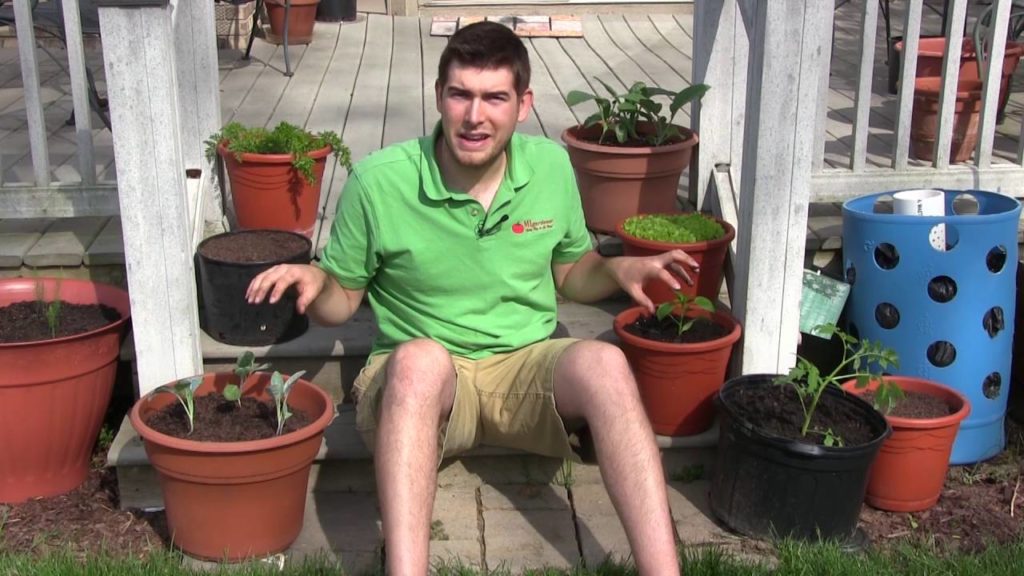 How to Grow Peppers In Containers - Complete Growing Guide