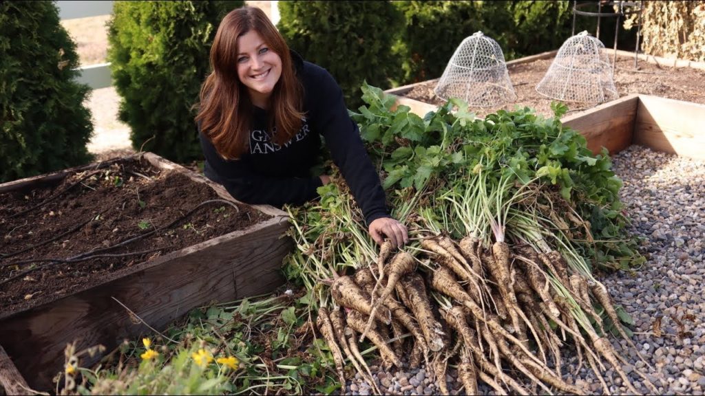 Harvesting Parsnips for the First Time! 🙌👩‍🌾😃// Garden Answer