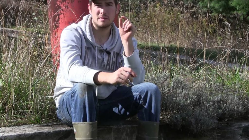 How to Save Lavender Seed Quick & Easy!