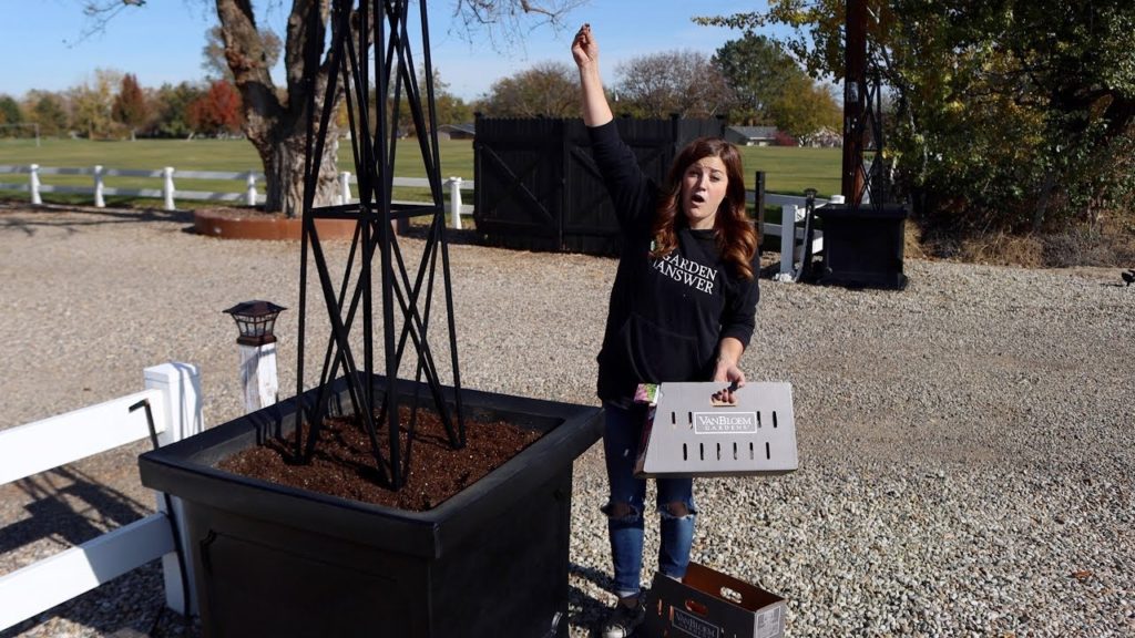 Planting Bulbs in Our Entryway Containers! 💐🙌💚// Garden Answer