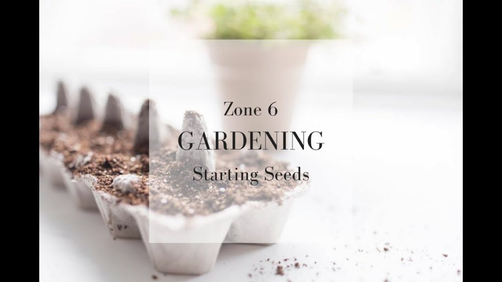 SPRING GARDEN PREPARATION | Zone 6 Gardening SPRING GARDEN PREPARATION | Zone 6 Gardening