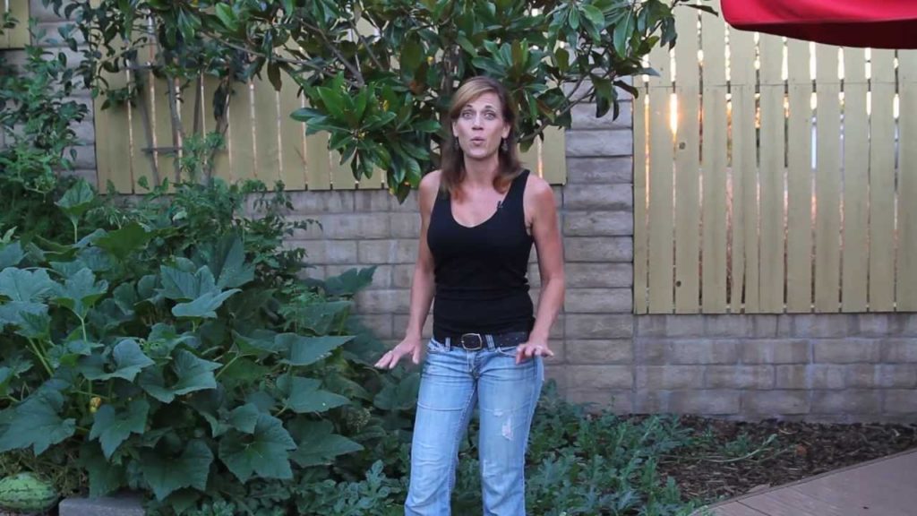 How to Grow Watermelon E05 Three Month Check-In & Questions