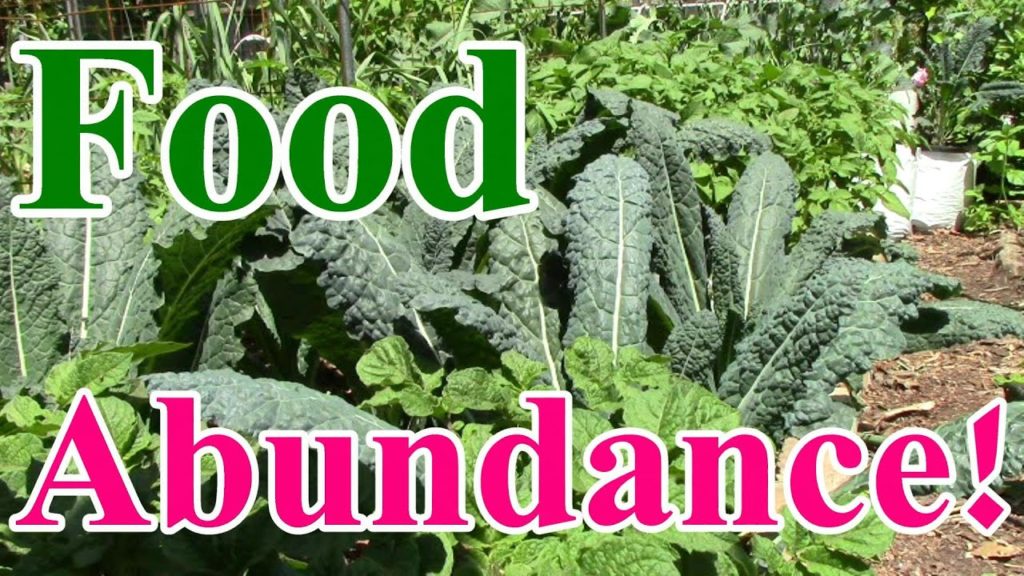 How We Achieved Food Abundance in Early June in Zone 5