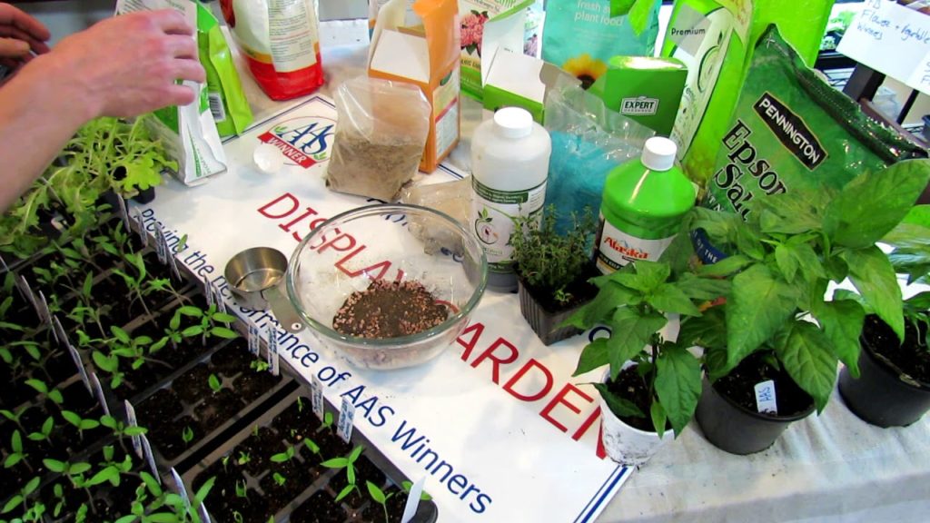 All-America Selections Flowers & Vegetables: AAS Quick Gardening Tips – How To Use Soluble/Insoluble Fertilizer on Seed Starts: Beginners AAS Quick Gardening Tips - How To Use Soluble/Insoluble Fertilizer on Seed Starts: Beginners