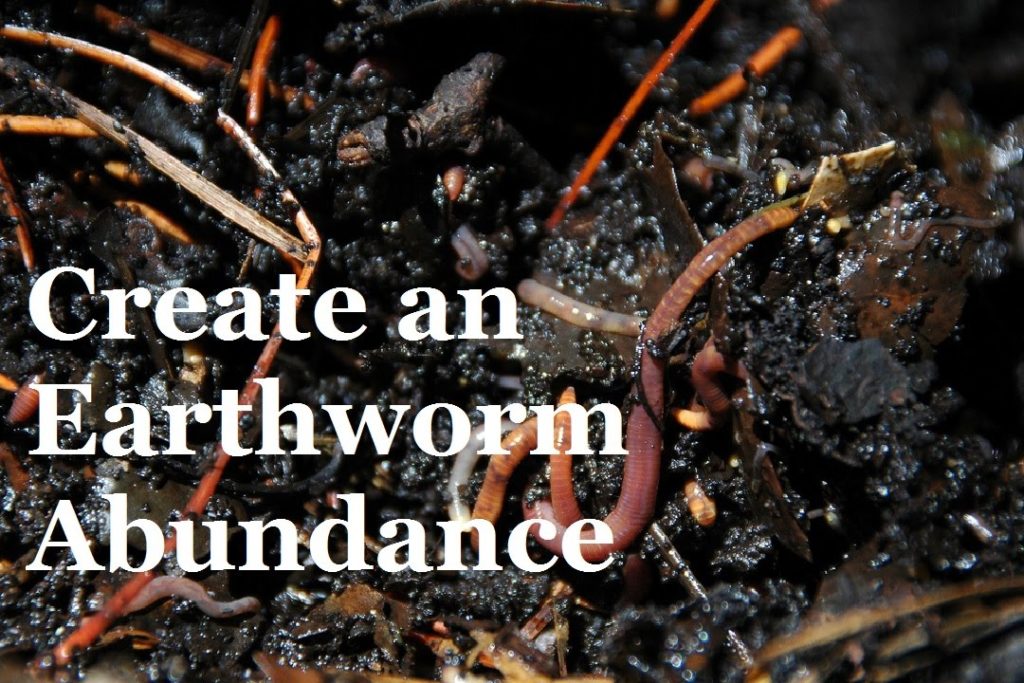 Huw Richards: How to create an Abundance of Earthworms in your Garden How to create an Abundance of Earthworms in your Garden