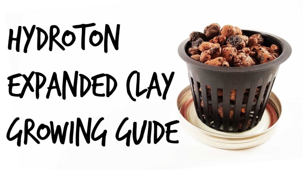 Expanded Clay Pellets (Hydroton) Growing Guide