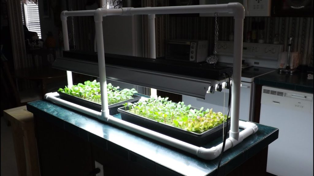 mhpgardener: Hydroponic Seed Starting & Simple PVC Grow Light Stand Hydroponic Seed Starting & Simple PVC Grow Light Stand