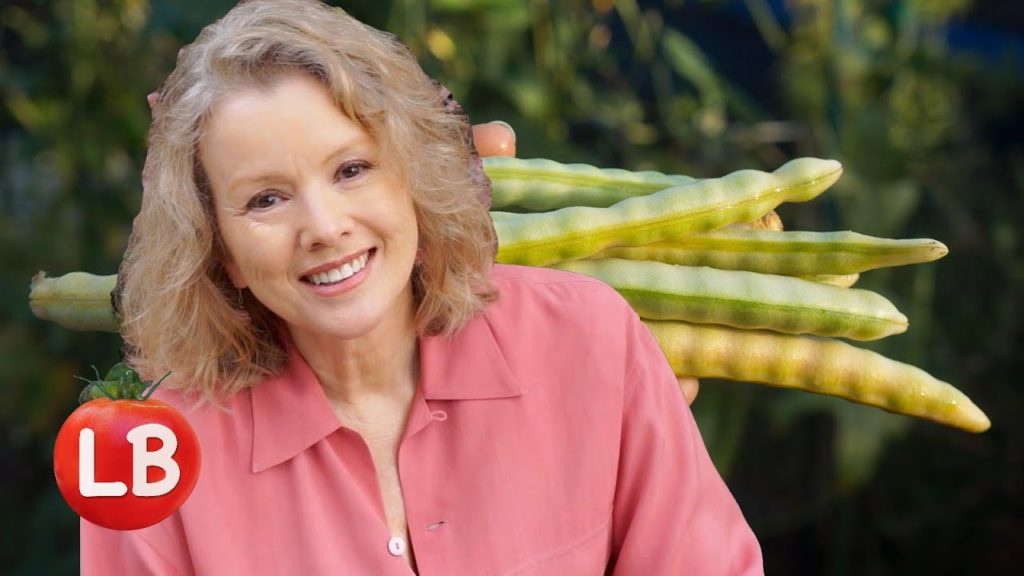 Kaye Kittrell: Growing Heirloom Beans – Part 1 | Late Bloomer | Episode 3 Growing Heirloom Beans - Part 1 | Late Bloomer | Episode 3